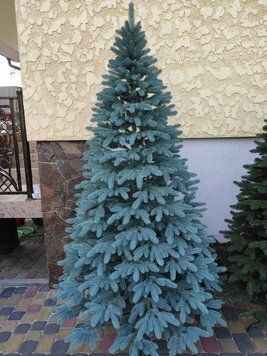 Штучна лита ялинка "Королівська блакитна" 2.5 м КГЛ250 фото